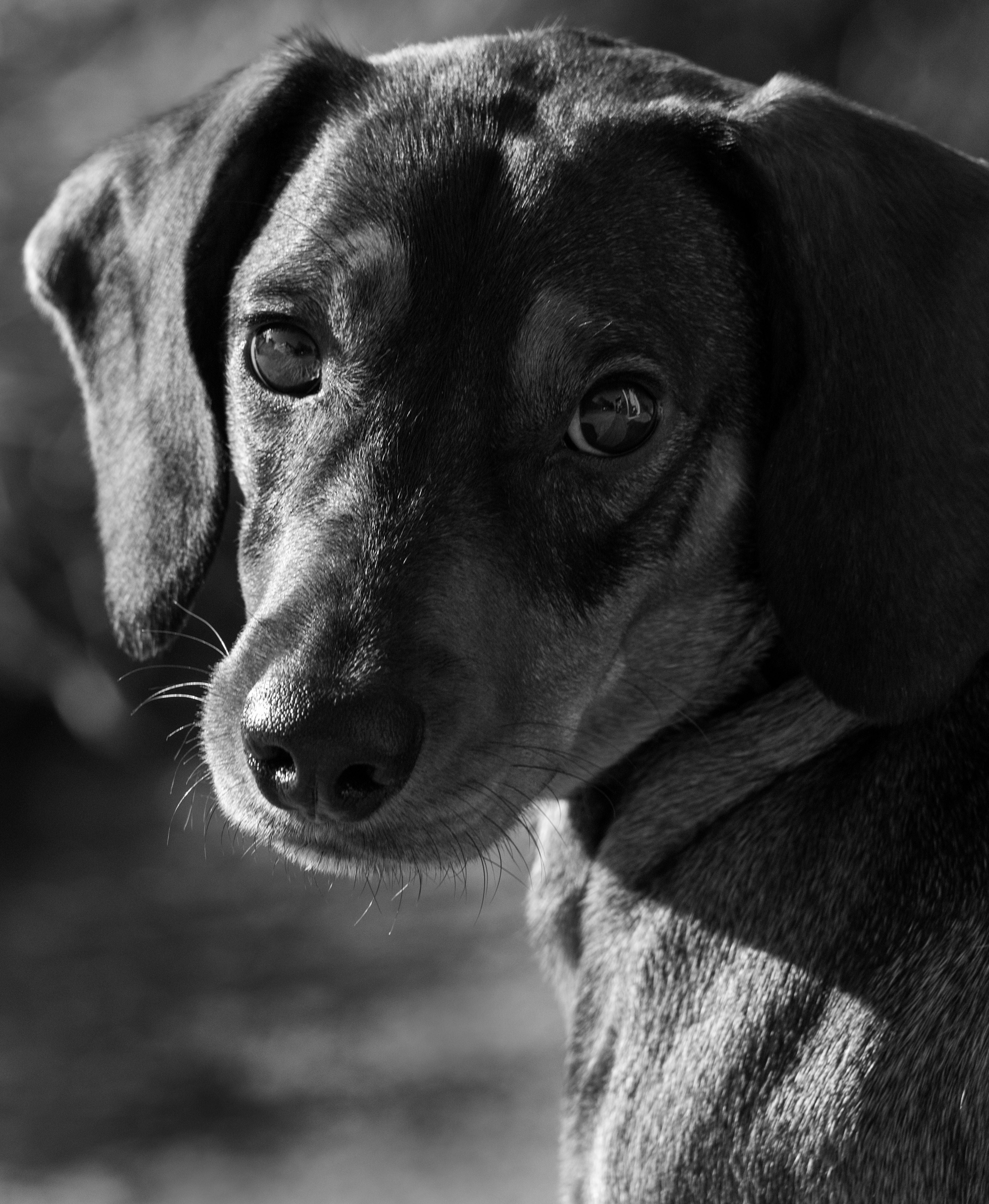 Carlos M.